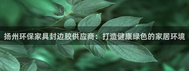 杏耀平台官方登陆：扬州环保家具封边胶供应商：打造健康绿色的家