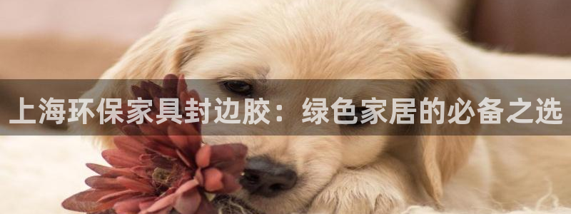 杏耀平台注册流程
