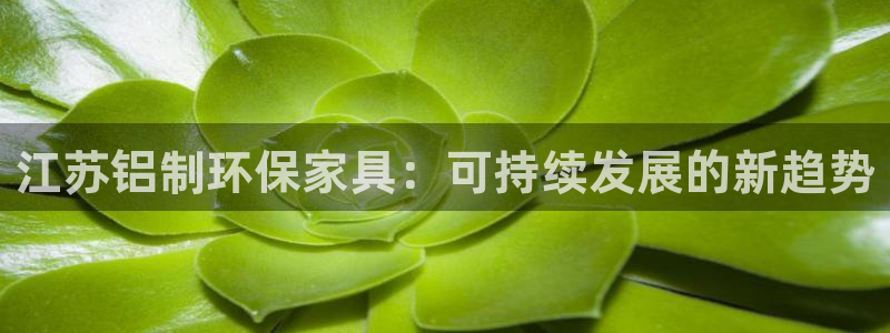 杏耀总代